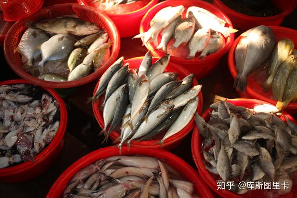 潮汕美食视频做菜大全视频_潮汕话美食菜单_潮汕菜菜单