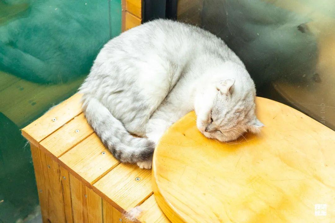 蓝色咖啡馆和绿色咖啡馆_咖啡店蓝色_蓝咖啡馆和绿咖啡馆